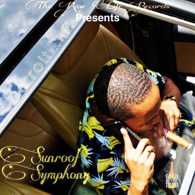 Sunroof Symphony