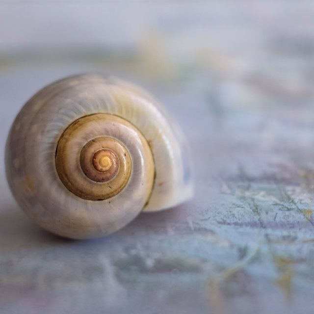 Boost Creativity | Mindfulness and Calm, Silent Mind