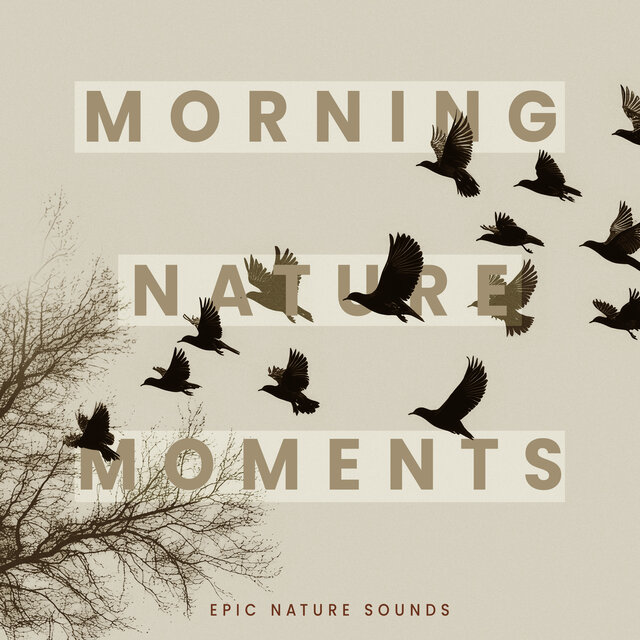 Morning Nature Moments