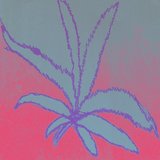 Untitled 01