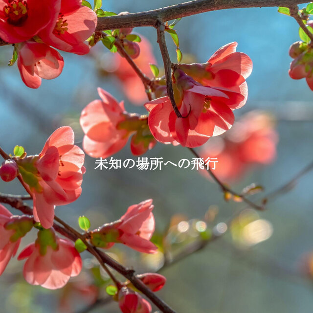 未知の場所への飛行
