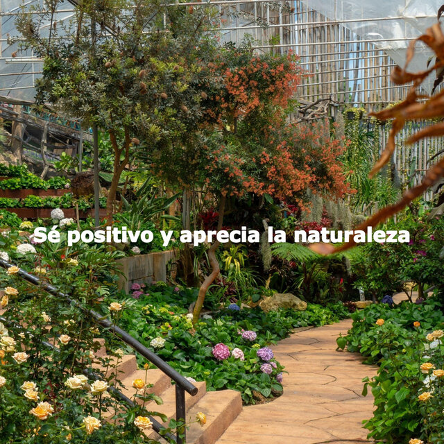 Sé positivo y aprecia la naturaleza