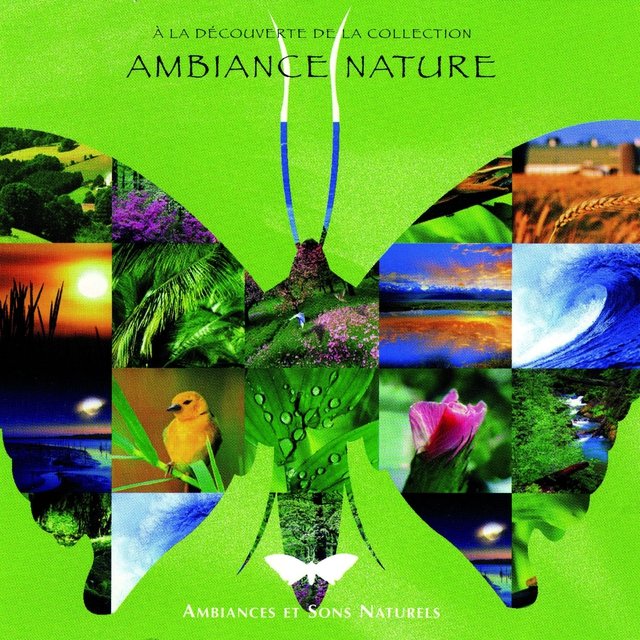 Ambiance Nature Découverte