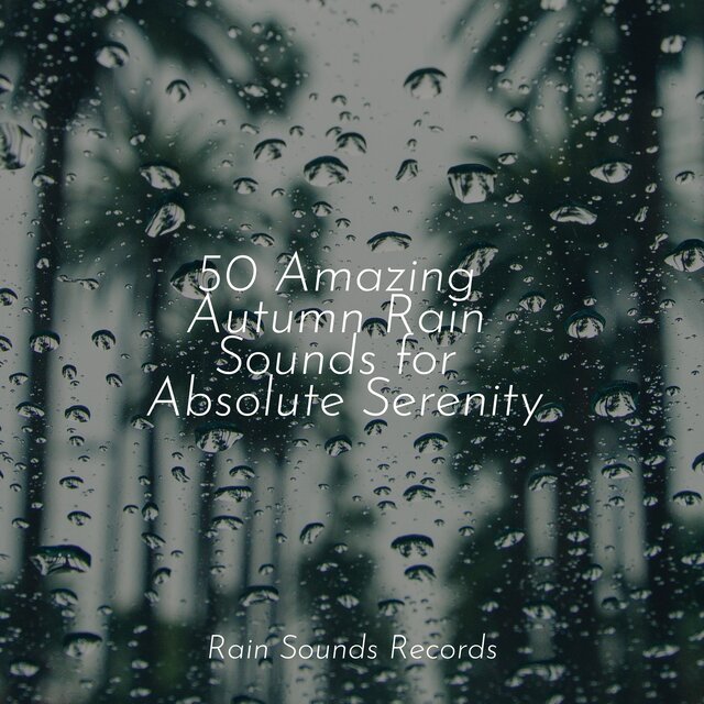 50 Amazing Autumn Rain Sounds for Absolute Serenity
