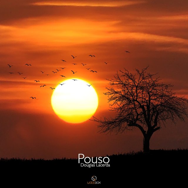 Pouso