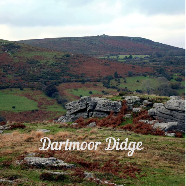 Dartmoor Didge