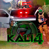 Kali 4