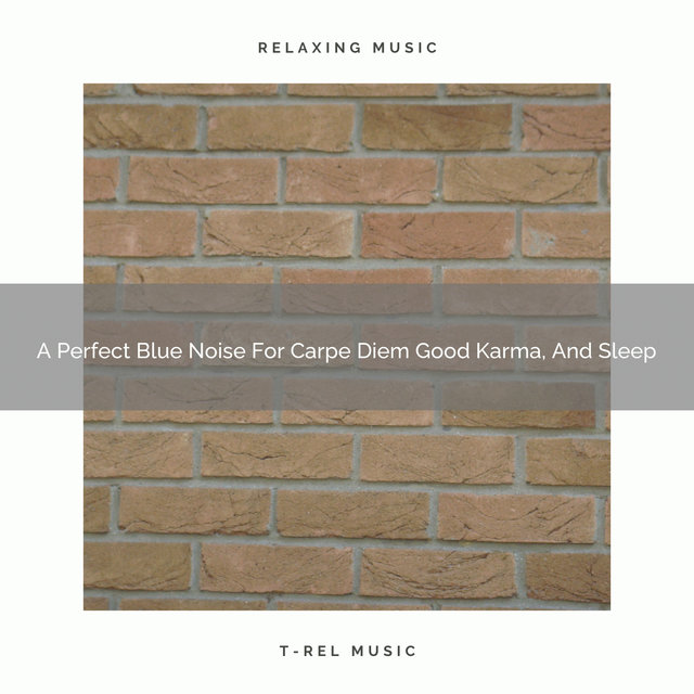 A Perfect Blue Noise For Carpe Diem Good Karma, And Sleep