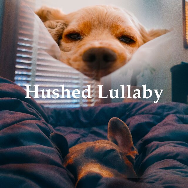 Hushed Lullaby