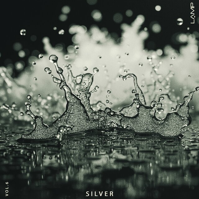 Silver, Vol. 6