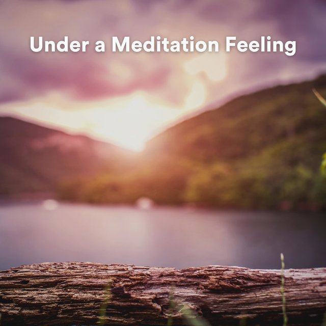 Under a Meditation Feeling