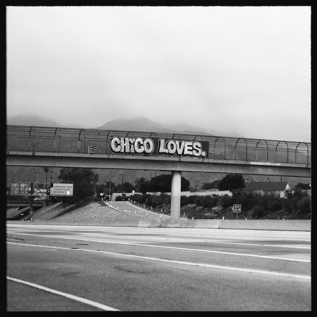 Chico Loves