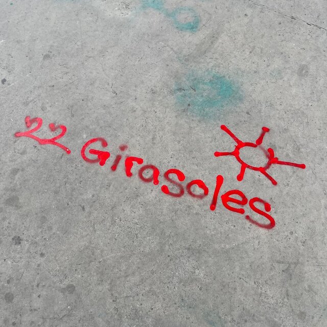 22 Girasoles