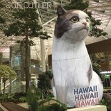 September Music (Live)