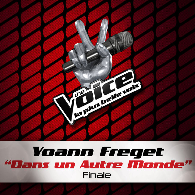 Dans Un Autre Monde - The Voice 2