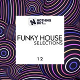 Your Love Is Like Melody (Funk Guitar Mix)