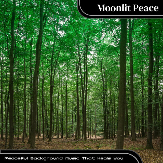 Peaceful Background Music That Heals You