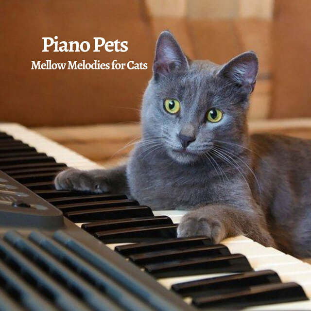 Piano Pets: Mellow Melodies for Cats