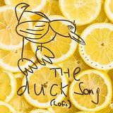 The Duck Song (Lofi Cover)