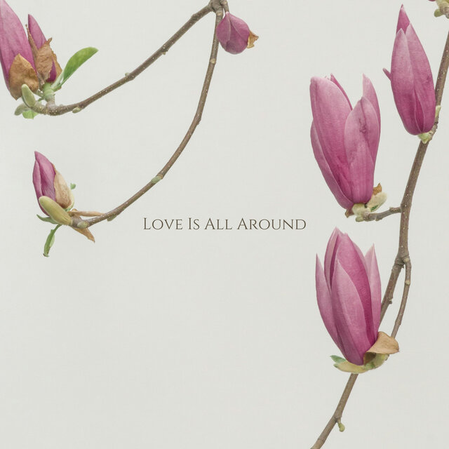 Love Is All Around (Acoustic)
