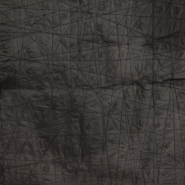 Hidden Selves