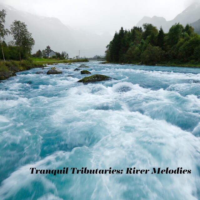 Tranquil Tributaries: River Melodies