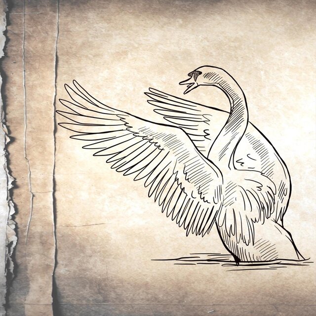 The Swan Song