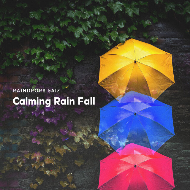 Calming Rain Fall
