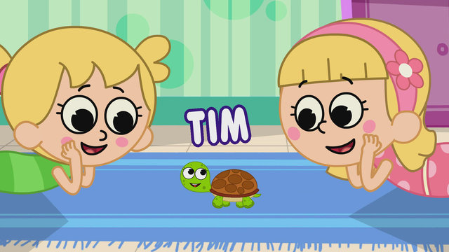 I Had A Little Turtle