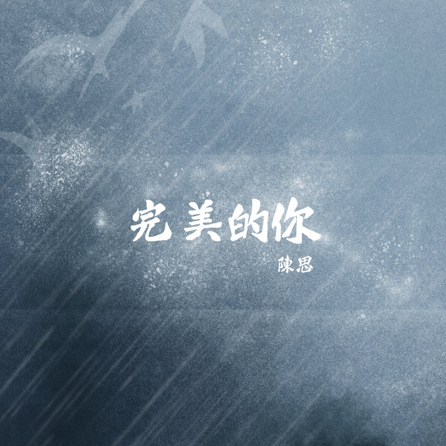 完美的你