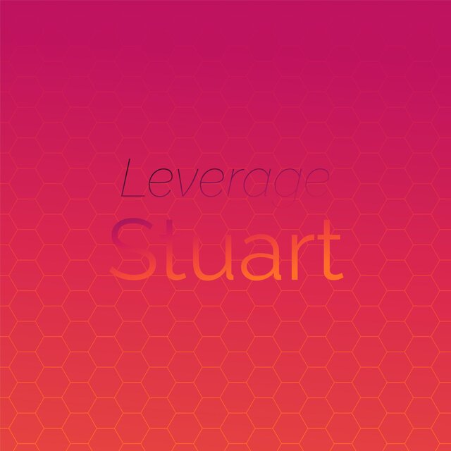 Leverage Stuart