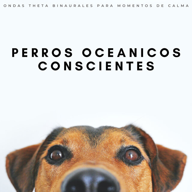 Perros Oceanicos Conscientes: Ondas Theta Binaurales Para Momentos De Calma