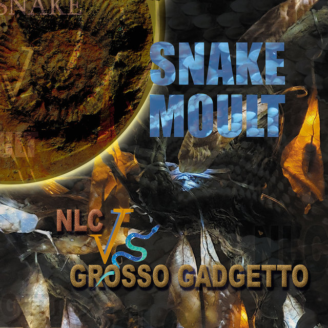 Snake Moult