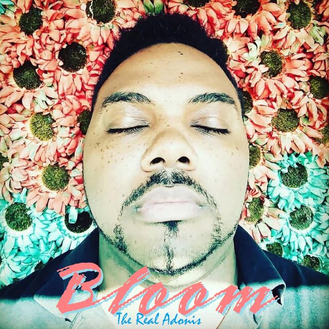 Bloom