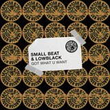 Got What U Want (Extended Mix)