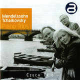 Piano Trio No. 1 in D Minor, Op. 49, MWV Q29: I. Molto allegro ed agitato