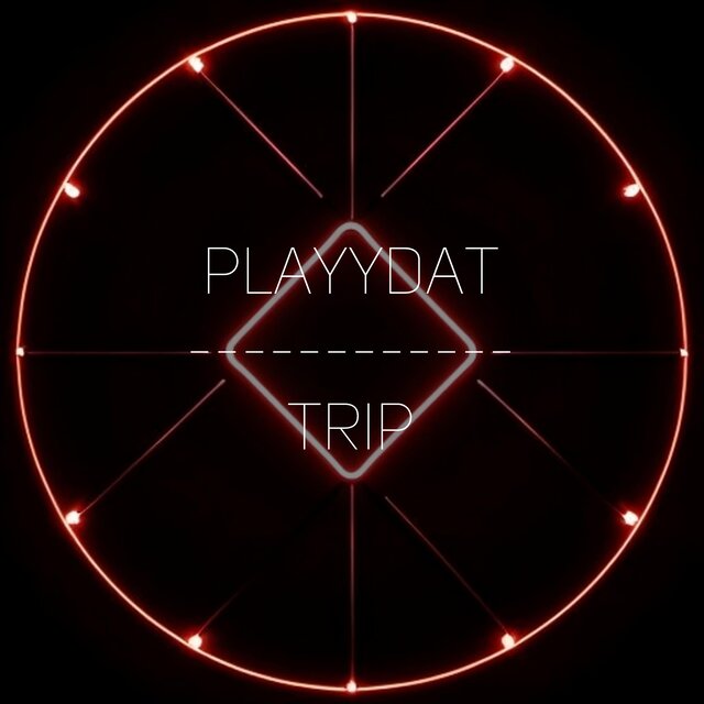Cover art for album Trip by Playydat