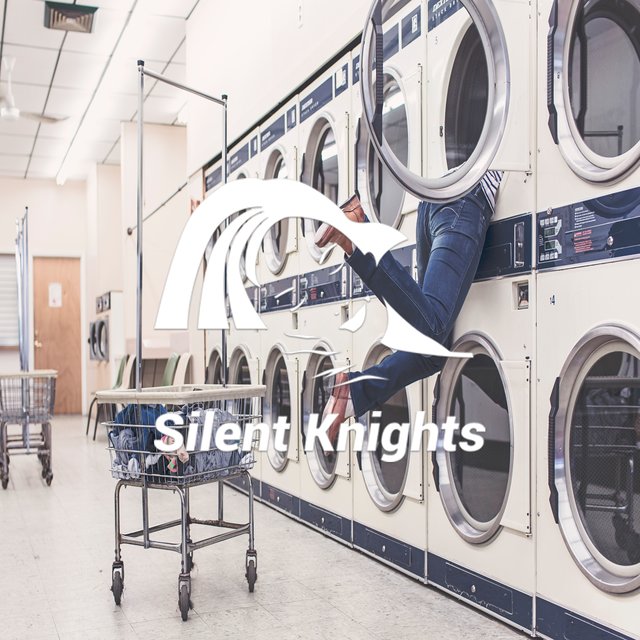White Noise Tumble Dryer