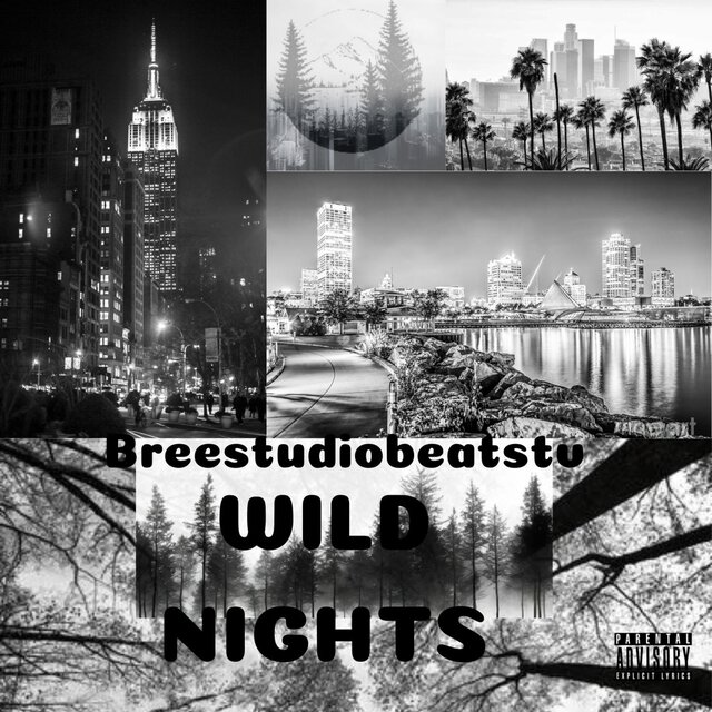 WILD NIGHTS 2