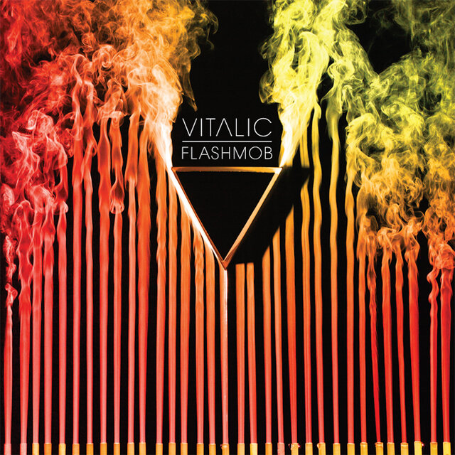 Cover art for album Flashmob by Vitalic