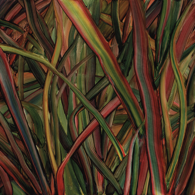 Where Wildness Grows