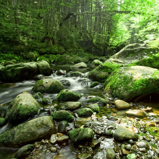 Picture of Yoga Sounds - Best Yoga Music - Relaxation by Yoga Sounds on TIDAL