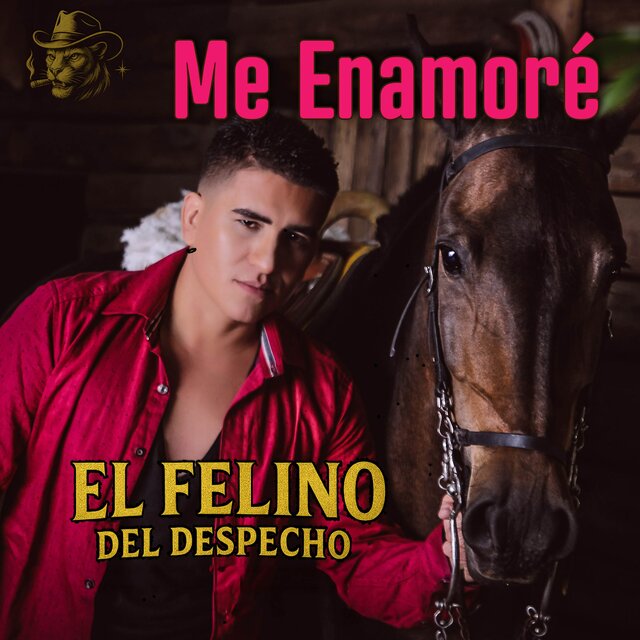 Me Enamoré