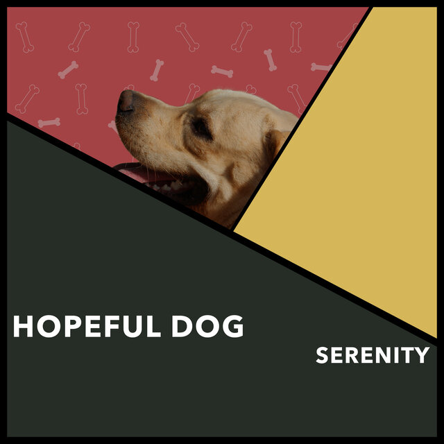 Hopeful Dog Serenity