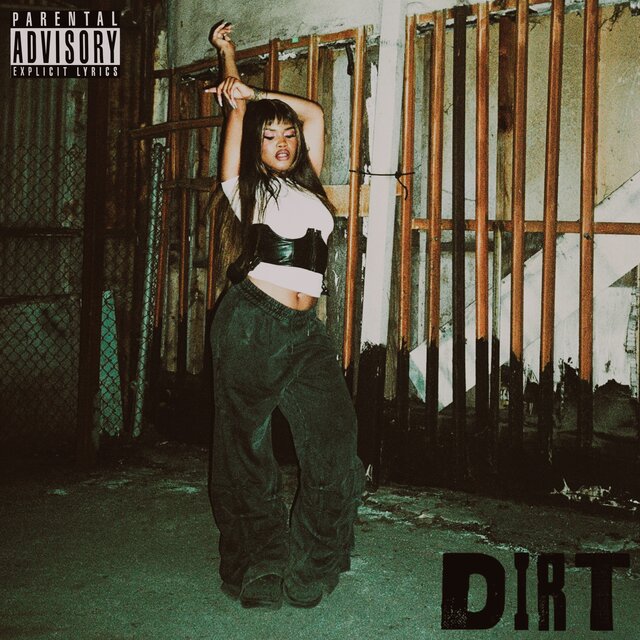 DIRT