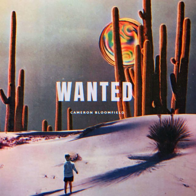 Wanted