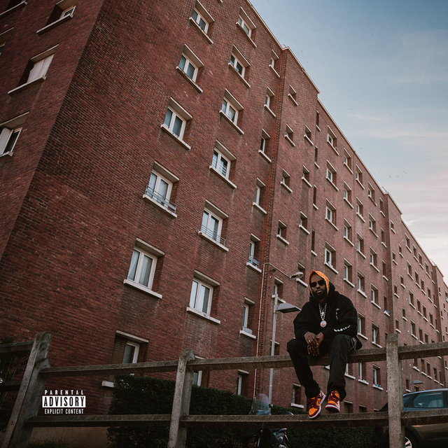 Bricks