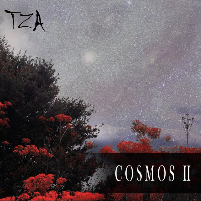 Cosmos II