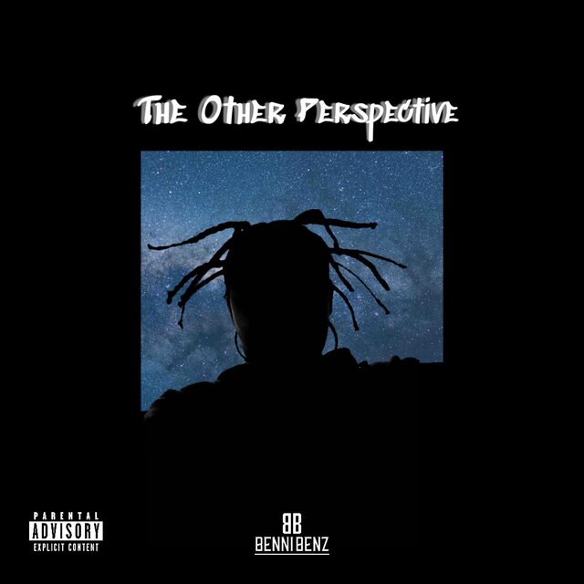 The Other Perspective