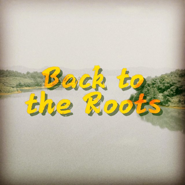 Back to the Roots